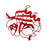 The deposited structure of PDB entry 1awq contains 1 copy of CATH domain 2.40.100.10 (Cyclophilin) in Peptidyl-prolyl cis-trans isomerase A. Showing 1 copy in chain A.