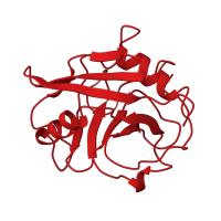 The deposited structure of PDB entry 1awu contains 1 copy of CATH domain 2.40.100.10 (Cyclophilin) in Peptidyl-prolyl cis-trans isomerase A. Showing 1 copy in chain A.