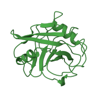 The deposited structure of PDB entry 1awu contains 1 copy of SCOP domain 50892 (Cyclophilin (peptidylprolyl isomerase)) in Peptidyl-prolyl cis-trans isomerase A. Showing 1 copy in chain A.