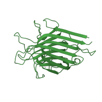 The deposited structure of PDB entry 1ax1 contains 1 copy of SCOP domain 49900 (Legume lectins) in Lectin. Showing 1 copy in chain A.