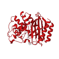 The deposited structure of PDB entry 1axb contains 1 copy of CATH domain 3.40.710.10 (Beta-lactamase) in Beta-lactamase TEM. Showing 1 copy in chain A.