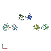 PDB entry 1axm coloured by chain, front view.