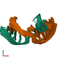PDB entry 1axu coloured by chain, ensemble of 9 models, front view.