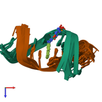PDB entry 1axu coloured by chain, ensemble of 9 models, top view.