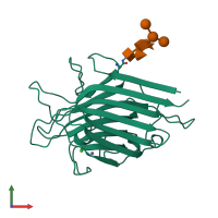 PDB entry 1axy coloured by chain, front view.