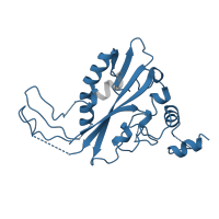 The deposited structure of PDB entry 1az3 contains 2 copies of Pfam domain PF09233 (Restriction endonuclease EcoRV) in Type II restriction enzyme EcoRV. Showing 1 copy in chain B.