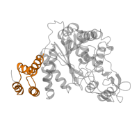 The deposited structure of PDB entry 1azy contains 2 copies of Pfam domain PF02885 (Glycosyl transferase family, helical bundle domain) in Thymidine phosphorylase. Showing 1 copy in chain A.