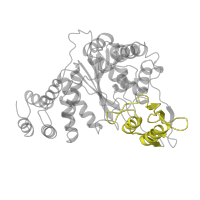 The deposited structure of PDB entry 1azy contains 2 copies of Pfam domain PF07831 (Pyrimidine nucleoside phosphorylase C-terminal domain) in Thymidine phosphorylase. Showing 1 copy in chain A.