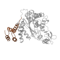The deposited structure of PDB entry 1azy contains 2 copies of SCOP domain 47649 (Nucleoside phosphorylase/phosphoribosyltransferase N-terminal domain) in Thymidine phosphorylase. Showing 1 copy in chain A.