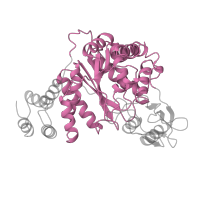 The deposited structure of PDB entry 1azy contains 2 copies of SCOP domain 52419 (Nucleoside phosphorylase/phosphoribosyltransferase catalytic domain) in Thymidine phosphorylase. Showing 1 copy in chain A.