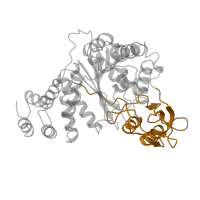 The deposited structure of PDB entry 1azy contains 2 copies of SCOP domain 54681 (Pyrimidine nucleoside phosphorylase C-terminal domain) in Thymidine phosphorylase. Showing 1 copy in chain A.