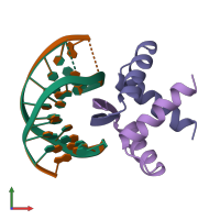 PDB entry 1b01 coloured by chain, front view.