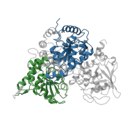 The deposited structure of PDB entry 1b0m contains 2 copies of CATH domain 3.30.499.10 (Aconitase; domain 3) in Aconitate hydratase, mitochondrial. Showing 2 copies in chain A.