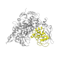 The deposited structure of PDB entry 1b0m contains 1 copy of Pfam domain PF00694 (Aconitase C-terminal domain) in Aconitate hydratase, mitochondrial. Showing 1 copy in chain A.