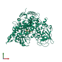 PDB entry 1b0m coloured by chain, front view.