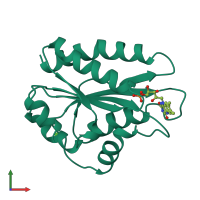 PDB entry 1b1c coloured by chain, front view.