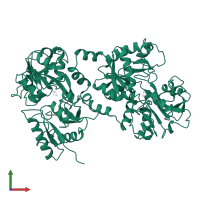 Lactotransferrin in PDB entry 1b1x, assembly 1, front view.