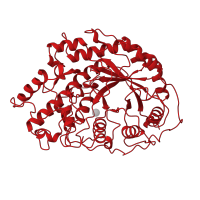 The deposited structure of PDB entry 1b1y contains 1 copy of CATH domain 3.20.20.80 (TIM Barrel) in Beta-amylase. Showing 1 copy in chain A.