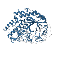 The deposited structure of PDB entry 1b1y contains 1 copy of Pfam domain PF01373 (Glycosyl hydrolase family 14) in Beta-amylase. Showing 1 copy in chain A.