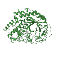 The deposited structure of PDB entry 1b1y contains 1 copy of SCOP domain 51446 (Amylase, catalytic domain) in Beta-amylase. Showing 1 copy in chain A.