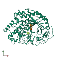 PDB entry 1b1y coloured by chain, front view.