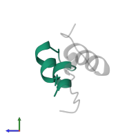 Insulin A chain in PDB entry 1b2g, assembly 1, side view.