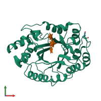 PDB entry 1b30 coloured by chain, front view.