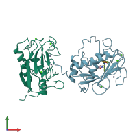 PDB entry 1b3d coloured by chain, front view.