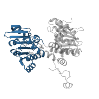 The deposited structure of PDB entry 1b3r contains 4 copies of CATH domain 3.40.50.720 (Rossmann fold) in Adenosylhomocysteinase. Showing 1 copy in chain A.
