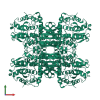 Adenosylhomocysteinase in PDB entry 1b3r, assembly 1, front view.