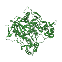 The deposited structure of PDB entry 1b41 contains 1 copy of CATH domain 3.40.50.1820 (Rossmann fold) in Acetylcholinesterase. Showing 1 copy in chain A.