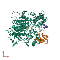 PDB entry 1b41 coloured by chain, front view.