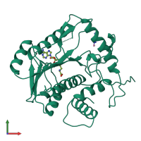 PDB entry 1b42 coloured by chain, front view.