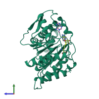 PDB entry 1b42 coloured by chain, side view.