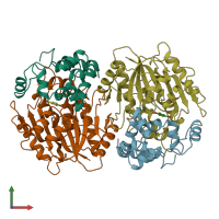 PDB entry 1b4u coloured by chain, front view.
