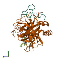 PDB entry 1b5g coloured by chain, side view.