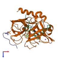 PDB entry 1b5g coloured by chain, top view.