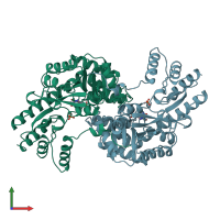 PDB entry 1b5p coloured by chain, front view.