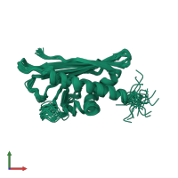 PDB entry 1b6f coloured by chain, ensemble of 23 models, front view.