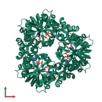 Homo hexameric assembly 1 of PDB entry 1b6t coloured by chemically distinct molecules, front view.