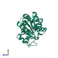 PDB entry 1b74 coloured by chain, side view.