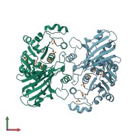 PDB entry 1b7g coloured by chain, front view.