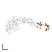 Myosin regulatory light chain, striated adductor muscle in PDB entry 1b7t, assembly 1, front view.