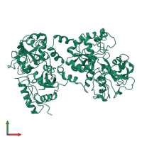 PDB entry 1b7u coloured by chain, front view.