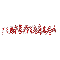 The deposited structure of PDB entry 1b89 contains 1 copy of CATH domain 1.25.40.10 (Serine Threonine Protein Phosphatase 5, Tetratricopeptide repeat) in Clathrin heavy chain 1. Showing 1 copy in chain A.