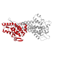 The deposited structure of PDB entry 1b8f contains 1 copy of CATH domain 1.10.275.10 (Fumarase C; Chain B, domain 1) in Histidine ammonia-lyase. Showing 1 copy in chain A.