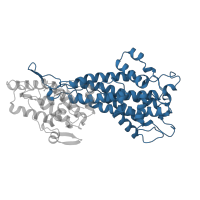 The deposited structure of PDB entry 1b8f contains 1 copy of CATH domain 1.20.200.10 (Fumarase C; Chain A, domain 2) in Histidine ammonia-lyase. Showing 1 copy in chain A.