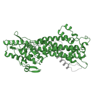 The deposited structure of PDB entry 1b8f contains 1 copy of Pfam domain PF00221 (Aromatic amino acid lyase) in Histidine ammonia-lyase. Showing 1 copy in chain A.