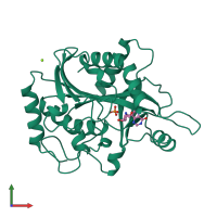 PDB entry 1b8o coloured by chain, front view.
