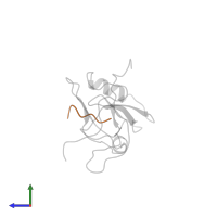 PROTEIN (HEPTAPEPTIDE) in PDB entry 1b8q, assembly 1, side view.